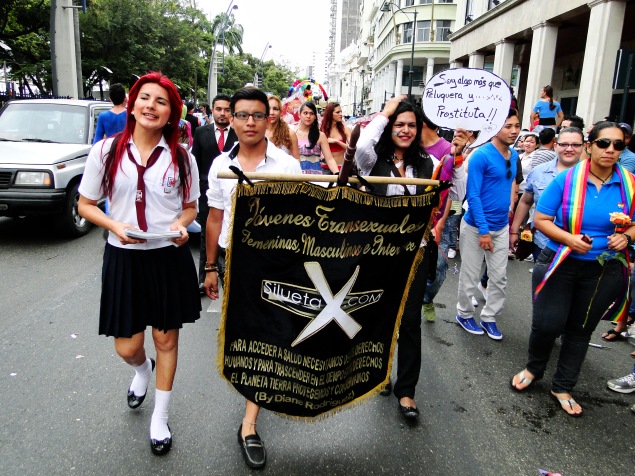 Orgullo Guayaquil o Pride Guayaquil Gay 2013 - Asociación Silueta X (8)